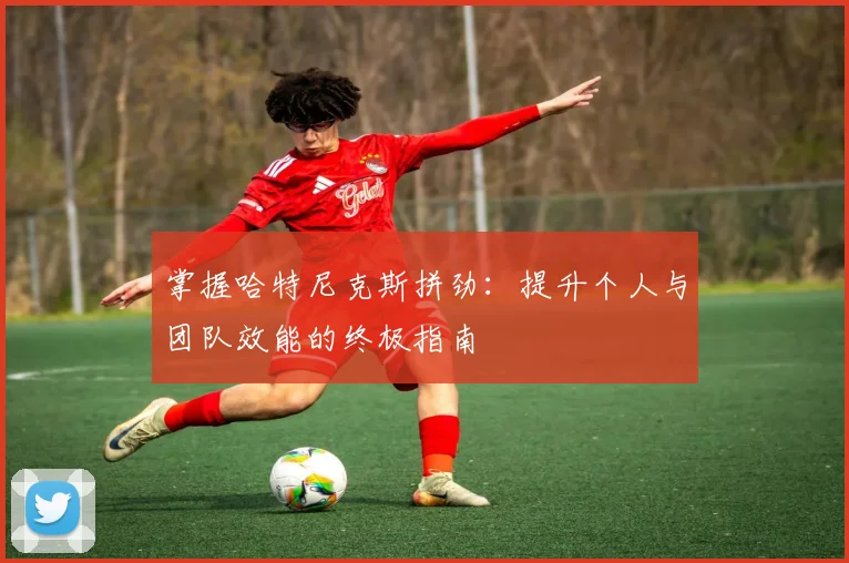 掌握哈特尼克斯拼劲：提升个人与团队效能的终极指南