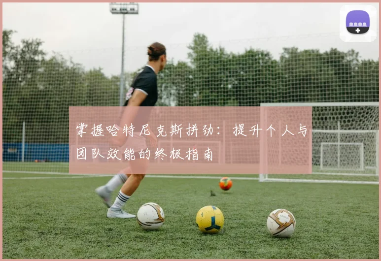 掌握哈特尼克斯拼劲:提升个人与团队效能的终极指南